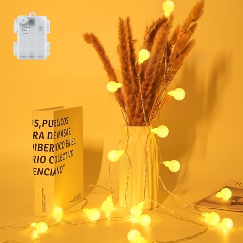 FFZZKJ Globe Fairy Lights Battery Operated with Timer Fairy Lights for Bedroom IP65 Waterproof Indoor Outdoor for Christmas, 3M/10Ft 20LED, Warm White