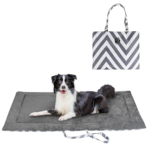Kritter Planet wasserdichte Katze Hundematte, Faltbare Waschbare Haustier Outdoor Hundedecke für Reisen Camping Outdoor, Faltbare Haustiermatte mit Griffen, Kleine Mittlere Hundebettdecke 127 x 70CM