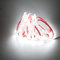 220V Striscia LED Adesive 5M 2835 120 leds/m Super Luminous Strip, IP67 Flessibili Strisce 6000K Bianco Freddo per Interno Esterno (Bianco Freddo, 5.00)