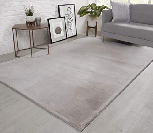 viceroy bedding NATURAL FAUX RABBIT Rug Ultra Soft Plush Extra Large Rugs Living Room Wool Shaggy Fluffy 26mm Thick Pile Height Modern Area Rugs - (Silver Light Grey, 120cm x 170cm (4ft x 6ft))