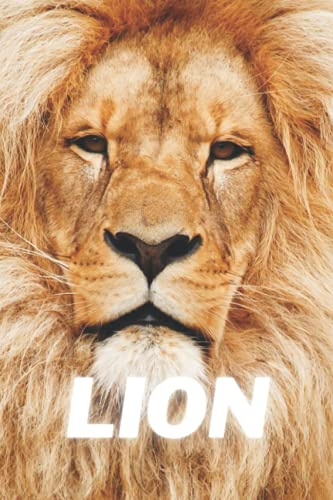 Lion Notebook:: cute lion gift for young kids that love beautiful lion king and nature (blank lined notebook) lion diary, notepad book for girls / best ... / journal for journaling / lion journal
