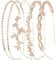 Wecoe 4 Pack AB Rhinestone Headbands Rose Gold Metal Headbands Flower Girl Bridal Wedding Headband Crystal Headpieces Flower Leaf Butterfly Headband Formal Hair Accessories For Women Girls Gifts