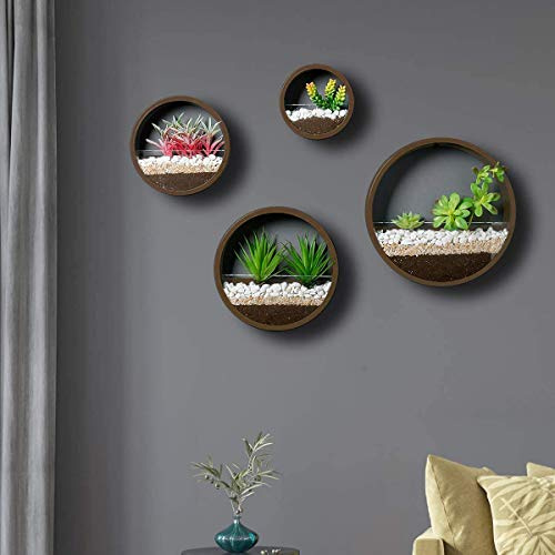 Set di 4 fioriere rotonde nere in metallo, vetro, succulente, da appendere alla parete, per interni, in ferro, piante, vaso da parete, terrario, vaso da parete, fioriera a parete, contenitore vertical
