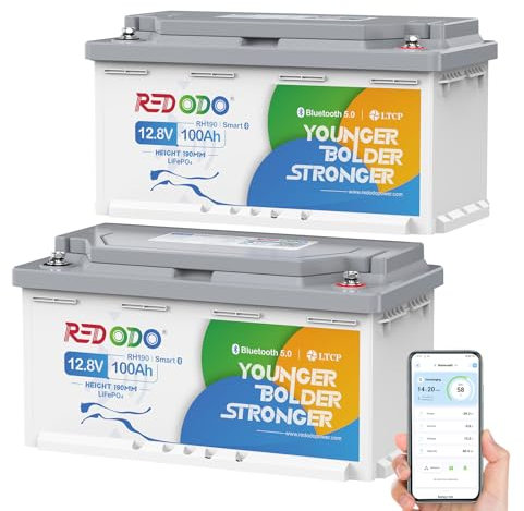 Redodo 12V 100Ah Bluetooth(2 Pack) Batterie Lithium,Batterie LiFePO4 avec Protection Low-Temp,BMS 100A,1280Wh,Rechargeable,Hauteur 189MM,Batterie de Remplacement Plomb-Acide Parfaite pour Camping-Car
