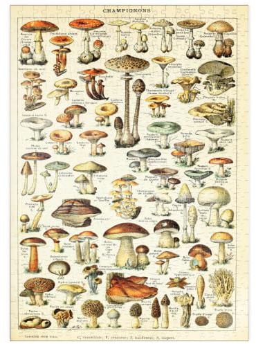 MyPuzzle Champignons - Pilze für Alle, Vintage Art Poster, Adolphe Millot - Premium 500 Teile Puzzle - MyPuzzle Sonderkollektion von Havana Puzzle Company