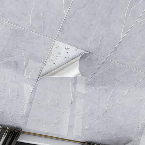 Deckenpaneele Deckenplatten Deckenfliesen 600 X 300 800 X 400, Selbstklebende Deckenplatten Dekorativ für abgehängte Decken/zu renovierende Bereiche, Home Office Stores Deckenverkleidung(A - 5 pack,30