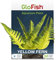 GloFish Aquarium-Dekoration, Gelber Farn.