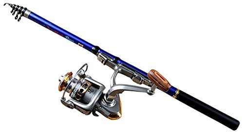 Angelrute Carbon-Sea Angelrute Teleskop for Spinnrolle Fisch Pole Outdoor Angeln Tools f_3.0m Teleskop Angelrute (Color : D, Size : 3.0m)