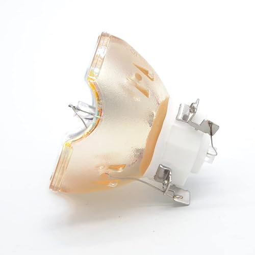 SeiZed Projektorlampe for Panasonic ET-LAV400 PT-VZ580U VW540U VW545NU VX610 VZ585NU VX610U VX600 VW540 VW545N VZ580 VZ585N VX600U