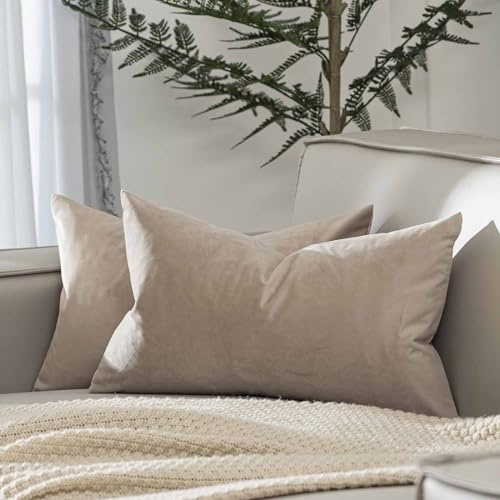 JUSPURBET 12x20 Lumbar Velvet Throw Pillow Covers Set of 2,Cloud | Soft Solid Decorative Pillow Covers,for Couch Sofa Bed Chair Living Room Bedroom,Luxury Modern Home Decor,Invisible Zipper
