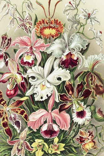 Vintage Orchideen Notizbuch: 124 Seiten, Gepunktete Linien, Weißes Papier - Perfekt für Ihre Gedanken und Ideen