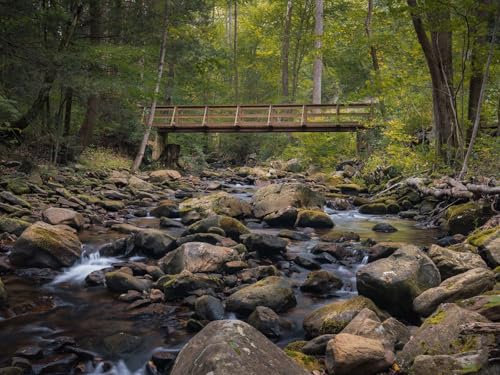 500 Teile erwachsenenpuzzle ab 14 Jahren, Brücke, Steine, Bach 52x38cm