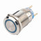 19mm 12-24V Interrupteur à Bouton-poussoir LED, Keenso Interrupteur à Bascule Autobloquant Interrupteur à Verrouillage Automatique Commutateur Etanche On Off (Bleu)