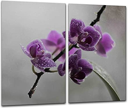 ewaschbaer Herdabdeckplatten Ceranfeldabdeckung Spritzschutz Glas 2x30x52 Blumen Violett Orchidee