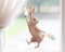 TinyFoxes Fensterbild Hase Ferdinand - selbsthaftende und wiederverwendbare Fensterdeko für Ostern - handgezeichnet von Kristin Franke