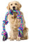 Aitmexcn Rope Toys for Large Medium Dogs, Indestructible Chew Toy, 37 Inch 5 Knots Tough Tug Toy for Teeth Cleaning, Tug of War
