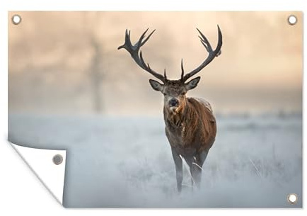 MuchoWow Outdoor-Poster Poster Wanddeko draußen Deko Garten Gartenposter 120x80 cm Hirsche - Natur - Winter