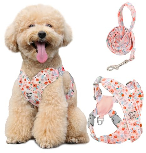 Pawaboo Small Dog Harness and Leash Set, Puppy Harness X-Frame No Pull No Choke, Dog Vest Harnesses Adjustable for Small Medium Sized Dogs,Soft Breathable Pet Harnesses, M, Pink flowers