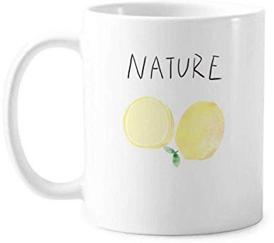 Tazza per dipingere l’isola di limone naturale, in ceramica bianca, con manico in ceramica, 12 oz