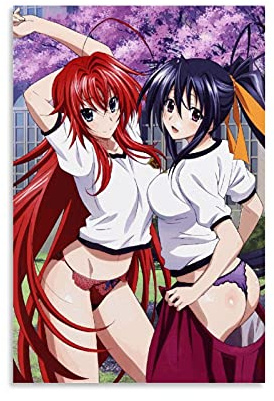 Anime Poster Highschool Dxd Poster Leinwand Kunst Poster und Wandkunst Bild Druck Modern Familie Schlafzimmer Dekor Poster 40 x 60 cm