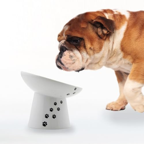Necoichi Raised Dog Food Bowl, Elevated, for Dogs and Cats, Pets Feeding Feeder Non-Slip for Small Dogs Dishwasher and Microwave Safe, No.1 Seller in Japan! (Dog, Extra Wide Tilted)