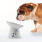 Necoichi Raised Dog Food Bowl, Elevated, for Dogs and Cats, Pets Feeding Feeder Non-Slip for Small Dogs Dishwasher and Microwave Safe, No.1 Seller in Japan! (Dog, Extra Wide Tilted)