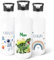 GRAVURZEILE - Gourde imprimée en acier inoxydable - T-Rex - Personnalisable avec nom - 600 ml - Anti-fuite avec bec pliable et paille intégrée