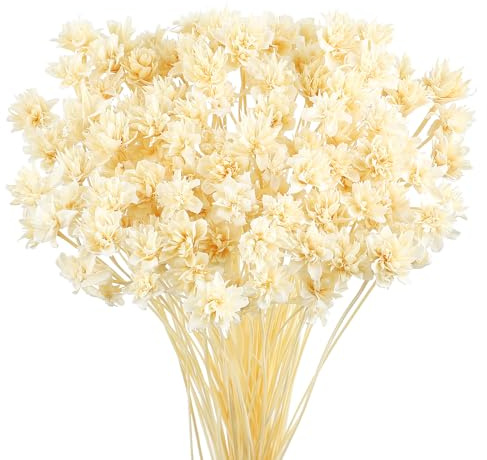 Larber 100 Pièces Fleurs Séchées Brésiliennes Mini Bouquet Fleurs Séchées Daisy Gypsophile Naturelle Étoile Séchée Petit Arrangement de Marguerites Camomille Mariage Bricolage Fête à Décor (Blanc)