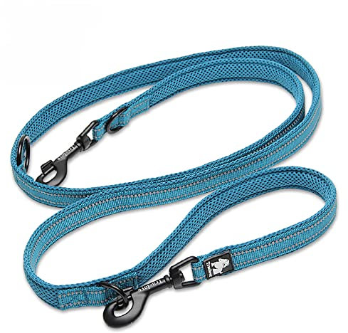 WINHYEPET True Love 7-in-1-Multifunktions-verstellbare Hundeleine, handfrei, Haustier-Trainingsleine, Nylon, reflektierend, bequem, Mehrzweck-Hundeleine TLL2411 (Blau, L)
