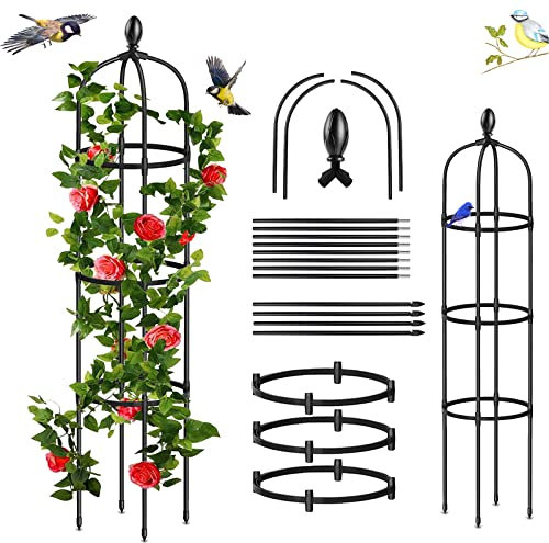 Enrejado de jardín Obelisco, Reja para Plantas Trepadoras, Soporte para Plantas Trepadoras, para Rosales y Plantas trepadoras Soporte Decorativo para jardín