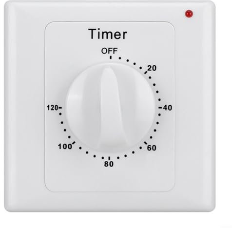 HOHOVYVY Interruttore della luce con timer, timer per conto alla rovescia, timer digitale, presa a casa, 120 minuti