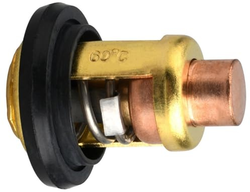 Termostato 66M-12411-00 per motore fuoribordo Yamaha 4 tempi F 40 50 60 80 100 HP 66M-12411-01 66M-12411 Parti marine