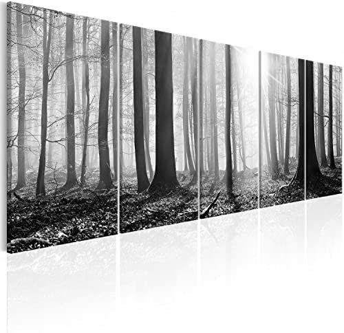 murando Acrylglasbild Wald 200x80 cm 5 Teilig Wandbild auf Acryl Glasbilder Kunstdruck Moderne Acrylglas Platte Wanddekoration Geschenke Heimdekoration Glasbild Landschaften Natur Panorama Baum