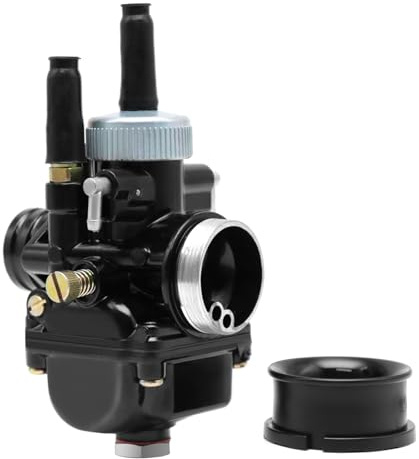 Motorrad-Vergaser für PHBG DS 21 mm Vergaser für 2-Takt 50–110 cc Roller Motorrad Moped (21 mm)