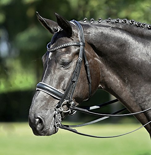 BUSSE solibel Kandare GRAND PRIX, schwarz (weiß), Beschlag: Strass, Warmblut