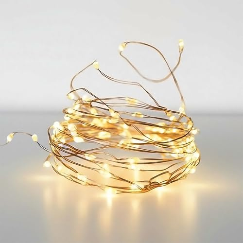 Spetebo Draht Lichterkette 32 m mit 320 Micro LED - warm weiß - Leuchtdraht für Außen