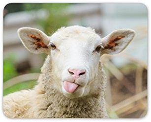 Funny Sheep Mouse Mat Pad - Lamb Farm Animal Kids Funny Gift PC Computer #8553