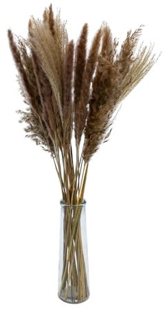 Getrocknetes Pampasgras Bouquet in Glasvase - 72 cm - Ziergras Arrangement mit Deko Vase - Echte Dekogras Schilfgras Wedel Trockenblume natürliche Boho Tisch Dekoration
