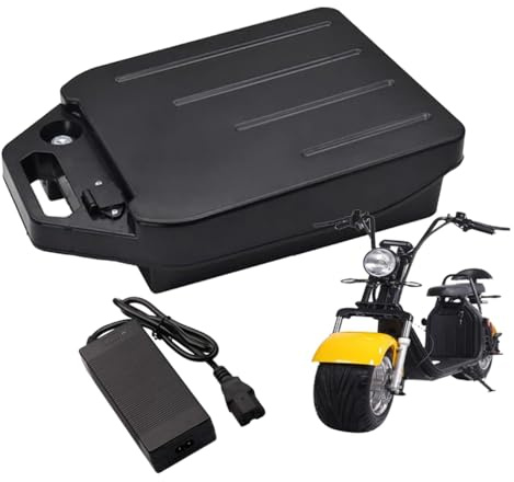WSDAV 48V Electric Motorcycle Battery 60V Lithium Battery Pack 10Ah 15Ah 17.5Ah 20Ah 22.4Ah 25.6Ah 28Ah with Charger,60V20Ah
