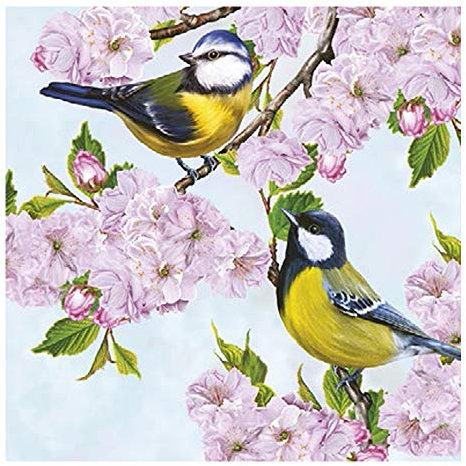 Auswahl Motiv - 20 Servietten / Napkins - ca. 33 x 33 cm 3-lagig - Meisen Kirschblüten - Tisch-Deko Basteln Serviettentechnik