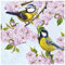 Auswahl Motiv - 20 Servietten / Napkins - ca. 33 x 33 cm 3-lagig - Meisen Kirschblüten - Tisch-Deko Basteln Serviettentechnik