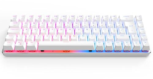 CIY X79-DE Layout 2.4Ghz Kabellose/Bluetooth/Verkabelte 65% Mechanische Tastatur, 69 Tasten kompakte RGB Tastatur, Hot Swappable Rote Schalter Gaming Tastatur mit Software für Windows/Mac/Android