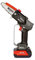 Zanon ZP 100 Potatore Elettronico Wireless Professionale