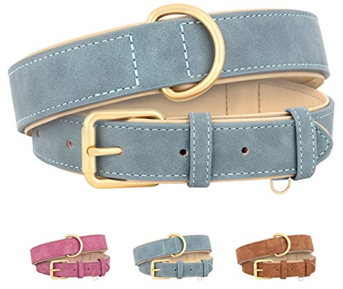 Beirui Weich gepolstertes Leder-Hundehalsband für Hunde,bequem,strapazierfähig,für kleine,mittelgroße und große Hunde,Lederhalsband mit hochwertigen Legierungsbeschlägen für den täglichen,Blau,S