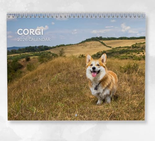 Corgi Kalender 2026 Monatlicher Wandkalender mit Notizen, hängend im A4-Format, inklusive Schlüsseldaten & Feiertagen