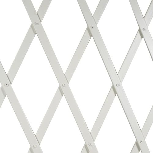 Virsus 1 Traliccio Estensibile in PVC 1540, misura 100x200 cm, per sostegno a muro di fiori e pianti rampicanti, per decorazione esterni pannello recinzione giardino, terrazzo Vari Colori (bianco)