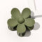 1 pince à cheveux en forme de fleur pour femme - En plastique antidérapant - Pour femme et fille - Pour un port quotidien - Vert armée