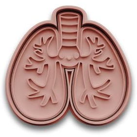 Lungen-Keksausstecher aus PLA – realistisches anatomisches Motiv für Medizin, Aufklärung und kreative Geschenkideen | Ausstechform | Plätzchenform | Keksform