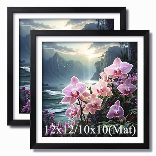 Aeadar Lot de 2 cadres photo pour peinture au diamant, adaptés pour photos de 30 x 30 cm, peinture à l'huile sur toile, cadre en bois avec tapis, art mural déco (lot de 2, noir)