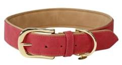 Kentucky Dogwear Collare per Cani Vegan Pelle - Pesca - XS